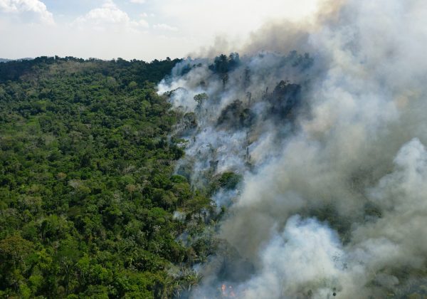 Aerial view of a burning area of Amazon rainforest reserve, south of Novo Progresso in Para state, on August 16, 2020. (Photo by FLORIAN PLAUCHEUR / AFP) (Photo by FLORIAN PLAUCHEUR/AFP via Getty Images)