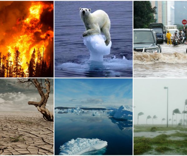 climate_change_collage_drm_free_1