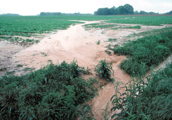 Muddy water runoff in a farm field in Tennessee following a storm.