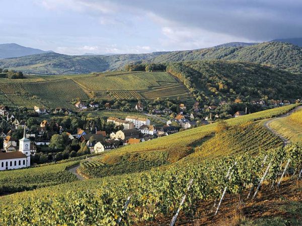 si-l-alsace-m-etait-conte-pays-de-barr-photo-z-vardon-conseil-vins-alsace